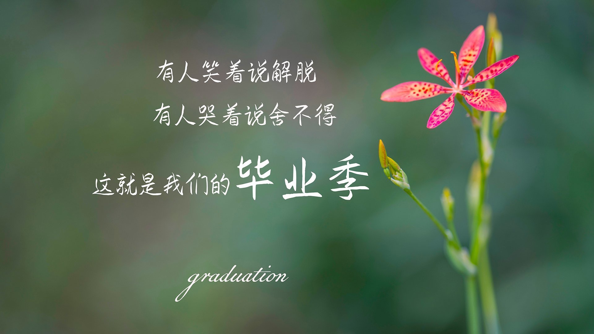 随机巴西男足连续四届奥运会参赛纪录终结，巴西男足得过几次奥运会冠军