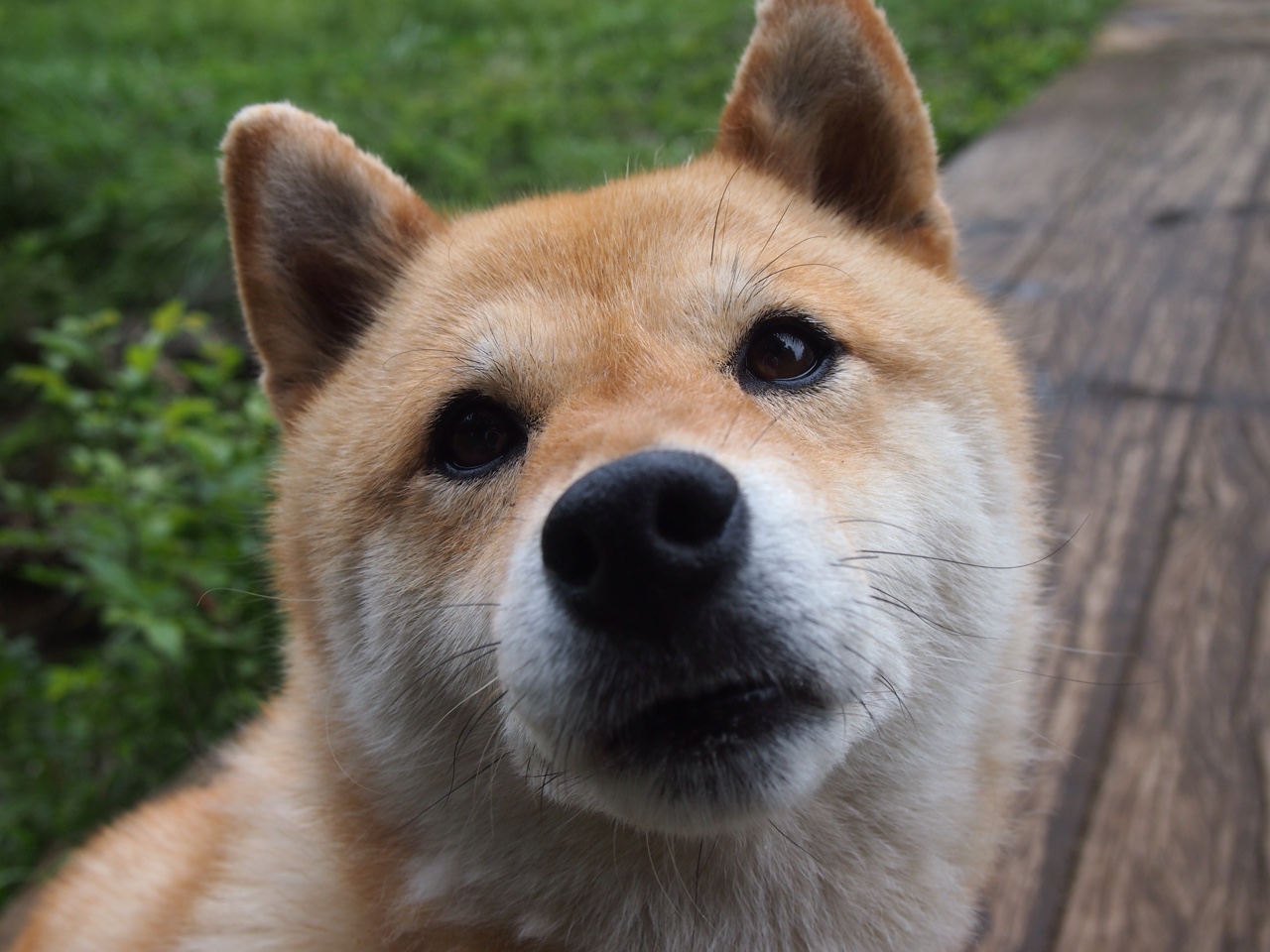 体育新闻中心启动体育视频创作标准体系建设，体育新闻短视频