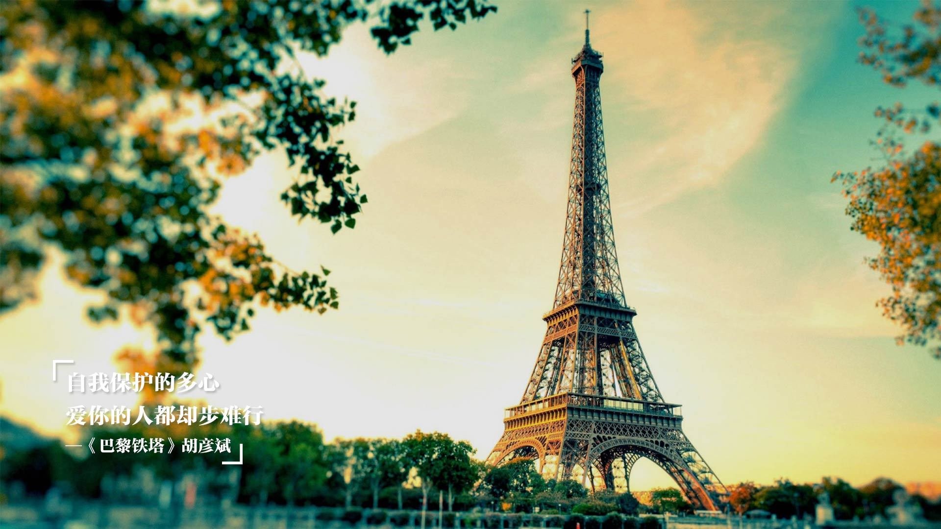 瑞典队战术灵活，2024年混合团体世界杯表现卓越，瑞典队世预赛