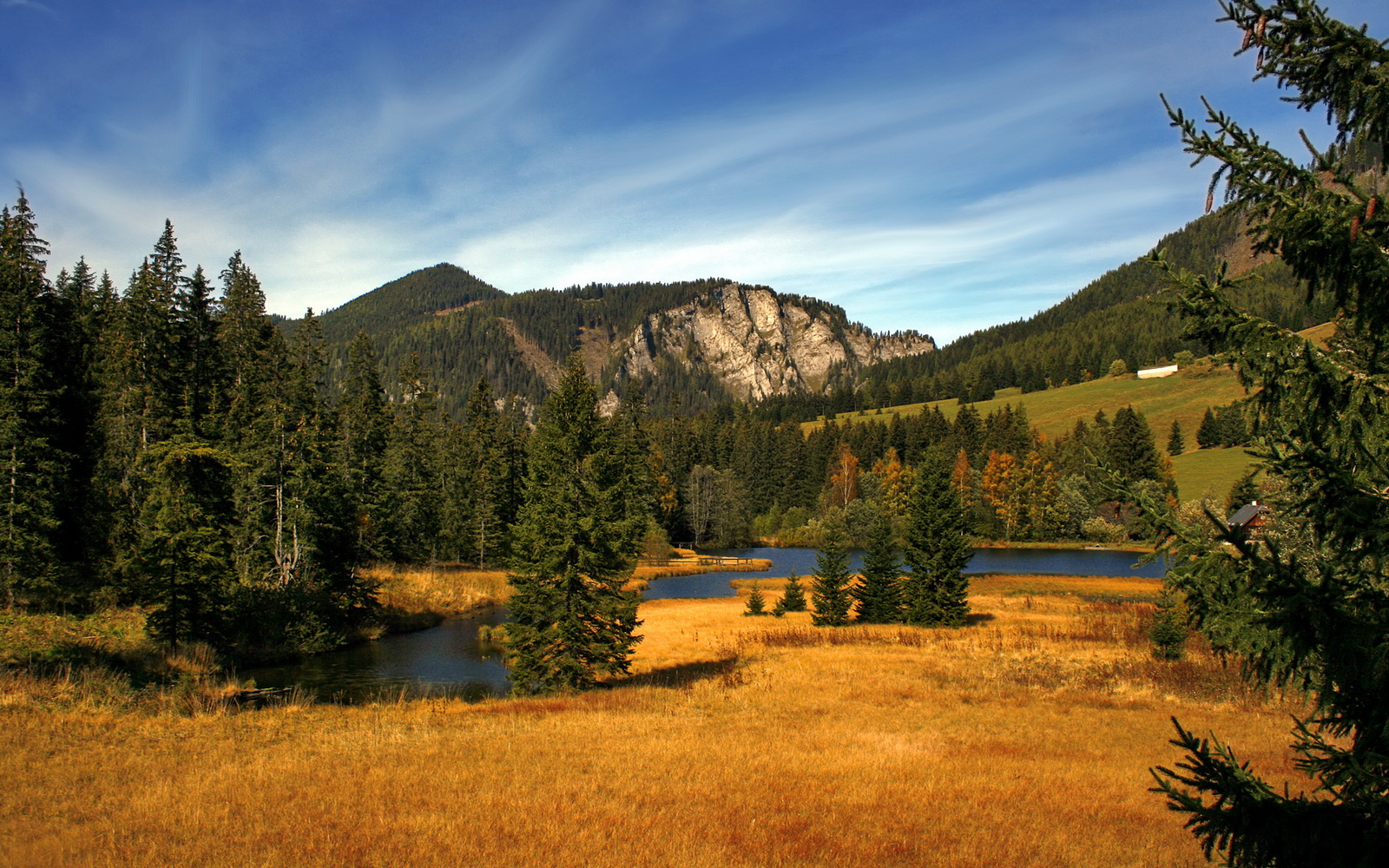 叶夫根尼娅·奇库诺娃冲线瞬间点燃赛场，叶夫根尼·奇吉舍夫