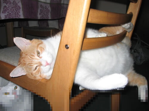 未来足球：全场智能检测系统助力球员健康与表现数据化管理，足球智能训练系统