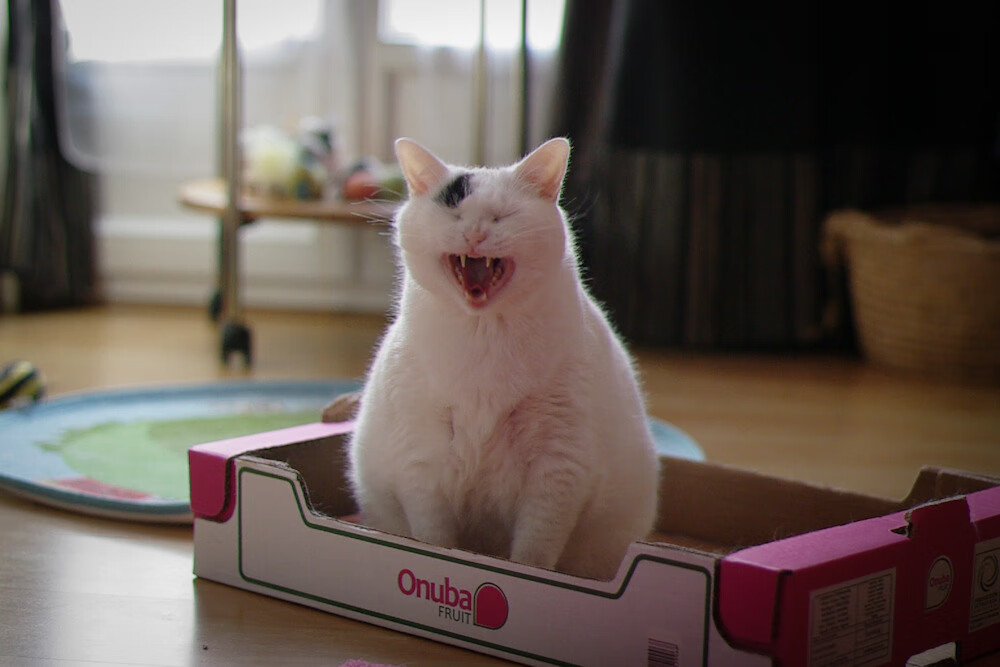 开云-球员比赛中展现良好视野多次送出威胁传球成为进攻枢纽核心，球员对球场上所发生的事实问题