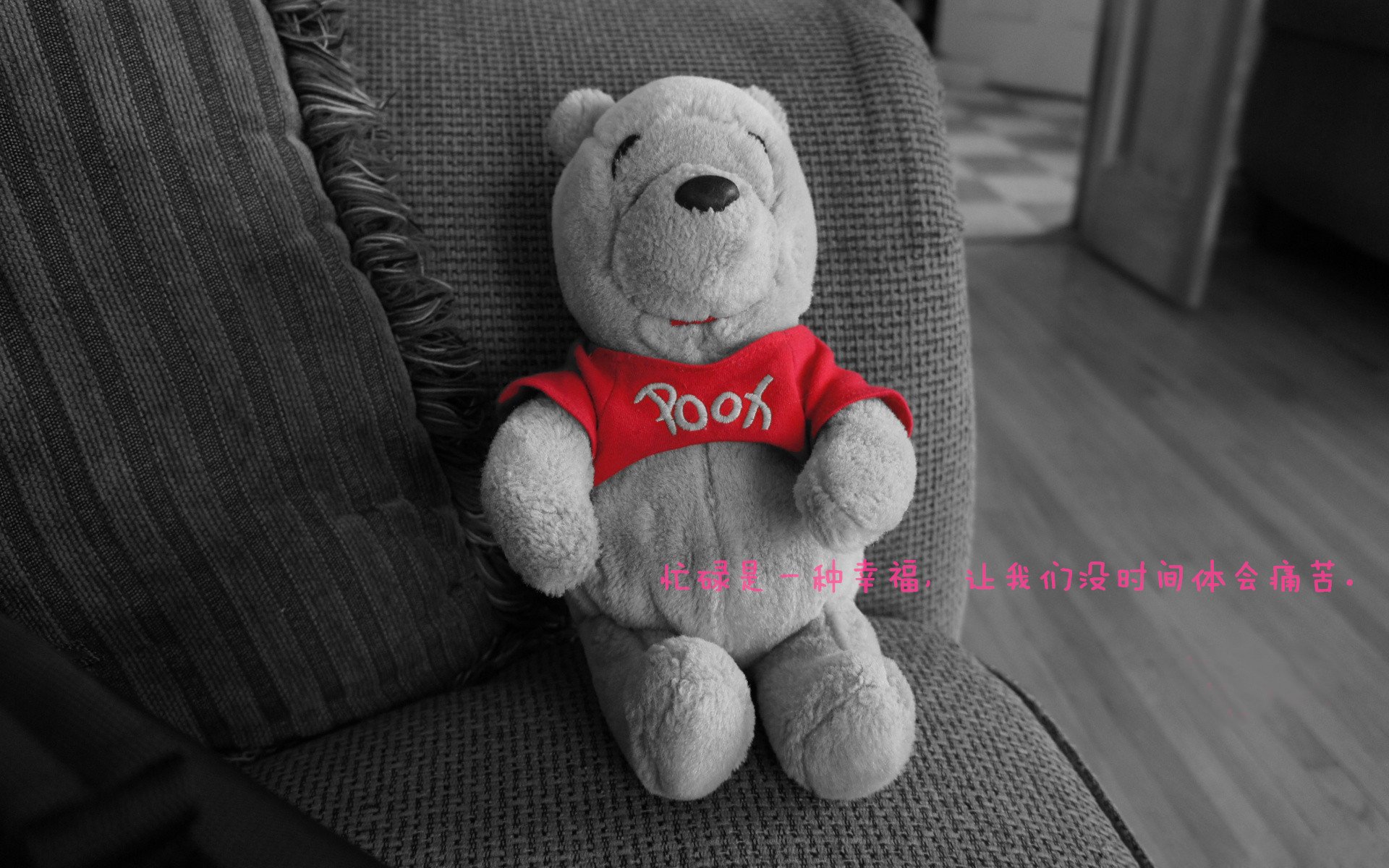 开云官网首页-跳水决赛突尼斯男将冲击奖牌，2016跳水视频