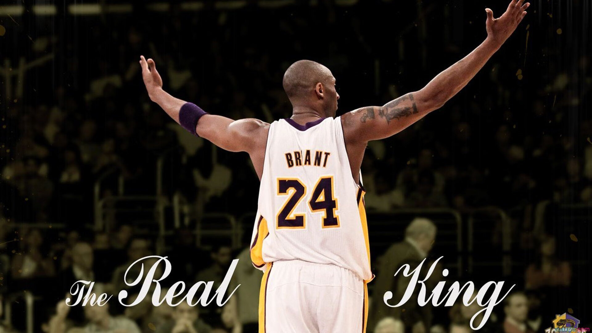 _魔术逆境拼搏，战绩不断刷新_，魔术讲解