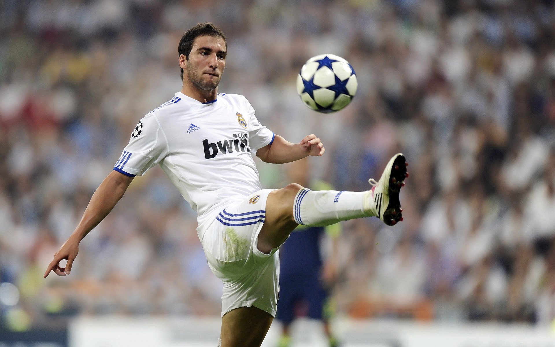 伊朗球员用毯子盖住替补席，被误认为冬奥冰壶队，伊朗杯是什么